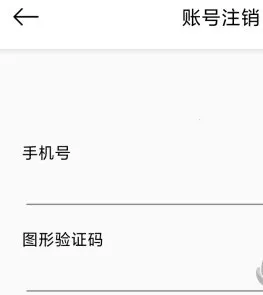 小云助手2025官方最新版本 小云助手2025官方最新版本