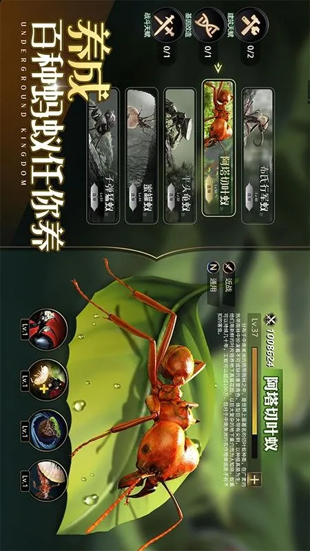 ССϹֻv1.59.0 Ѱͼ