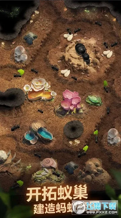 ССϹֻv1.59.0 Ѱͼ