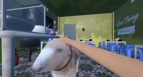 ֵܵĺӷ۲(ܾӪ)v1.0.1 ٷͼ