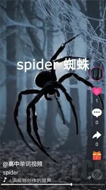 ˢ����2025���°汾