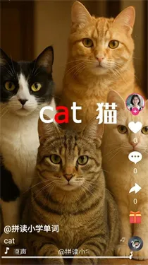 ˢ����2025���°汾v1.0.1 ��׿���ͼ