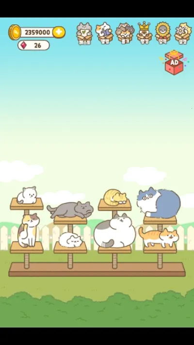 CatBox(电视播放软件) CatBox(电视播放软件)