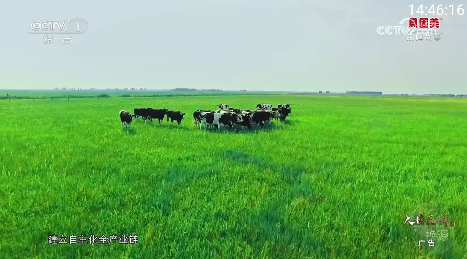 ��ĵ���(����Ӱ��ƽ̨)