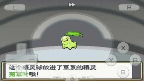 �ڴ������Ľ���������ֻ���v3.0 �ٷ������ͼ