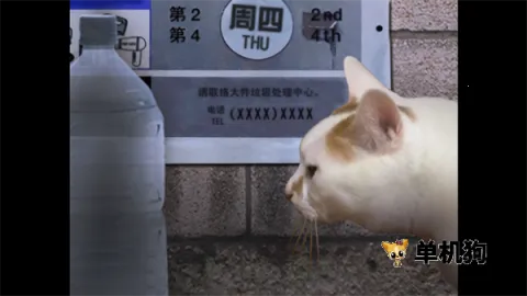 ����è֮����̷(è�����ð����Ϸ)v1.0 ��׿���ͼ