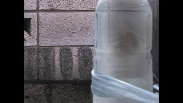 ����è֮����̷(è�����ð����Ϸ)v1.0 ��׿���ͼ