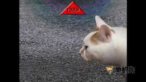 ����è֮����̷(è�����ð����Ϸ)