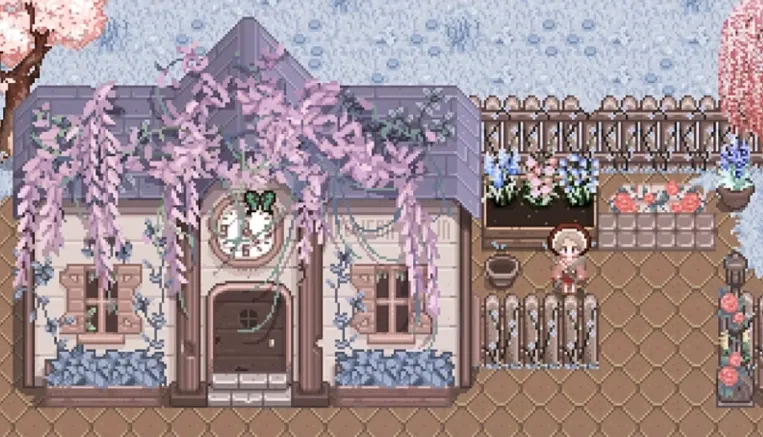 ��¶������������2025���°汾