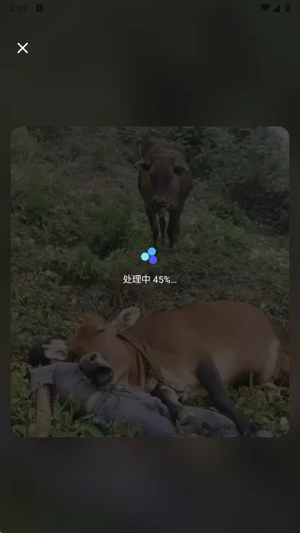 佐糖(图像处理应用) 佐糖(图像处理应用)