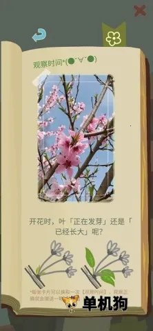 ��ũ����2025�ٷ�����