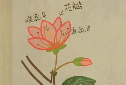 ��ũ����2025�ٷ�����