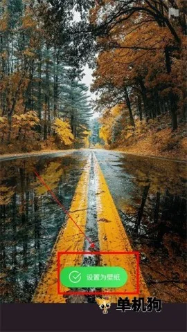 4D�Ӿ���ֽpro(��ֽ����ƽ̨)