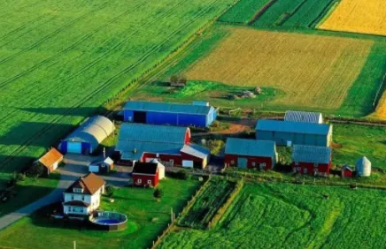 �ﳤѲ(ũ��Ѳ������)