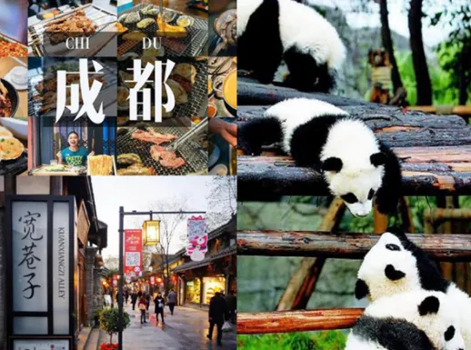 ����ͨ2025�ٷ�����