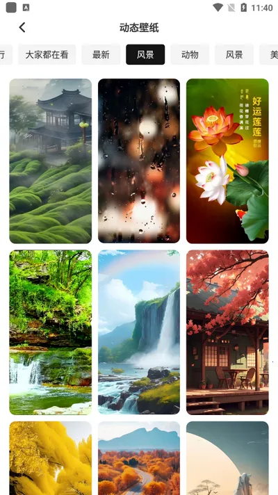 ������Ƶ����(��Ƶ��������)v1.0.0.200.060 ��׿���ͼ