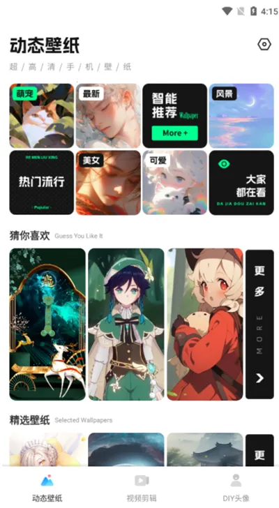 ������Ƶ����(��Ƶ��������)