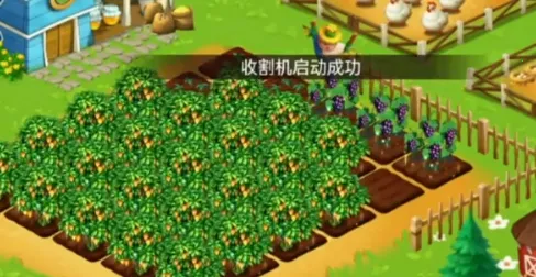 ũ����ʼ��(ũ����Ӫ��Ϸ)