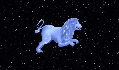 ������2025���°汾