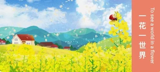 ��������滭2025�ٷ����°汾