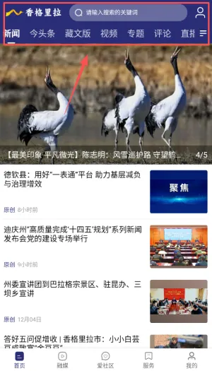 �������2025���°汾