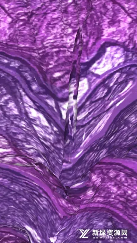 ��ѹ�����2026�ٷ�����