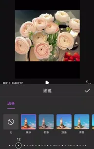 ��Ƶ��������2026�ٷ�����