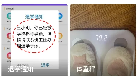 ֥�鹤����(�๦�ܹ�����)