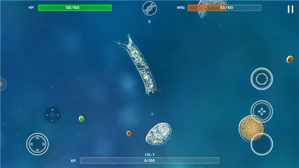 ����ģ����(����ģ����Ϸ)