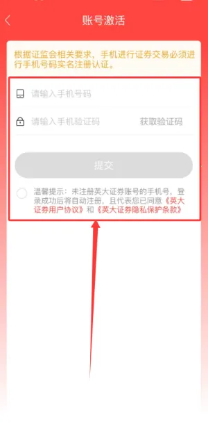 英大金点 英大金点