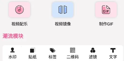 ��Ƶ������