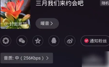 LOOKֱ��2026���ذ�װ