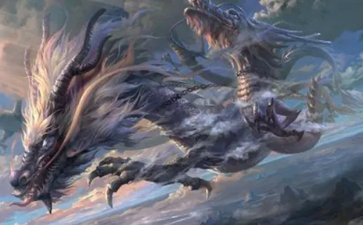 �Ż�����