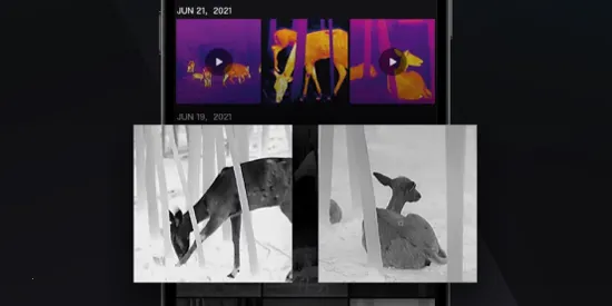 ΢Ӱ���ⰲ׿���ֻ���