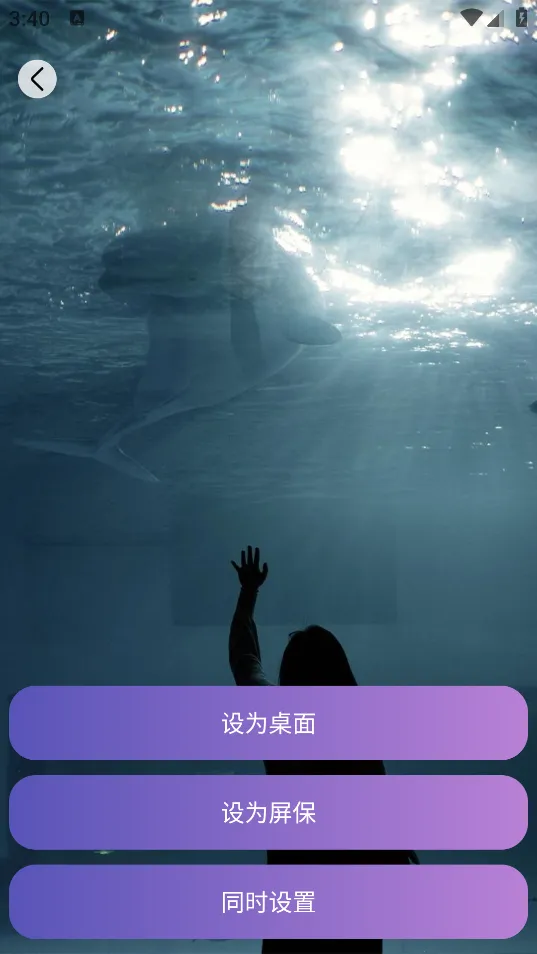 ����δ��v1.0.2.101 �ٷ������ͼ