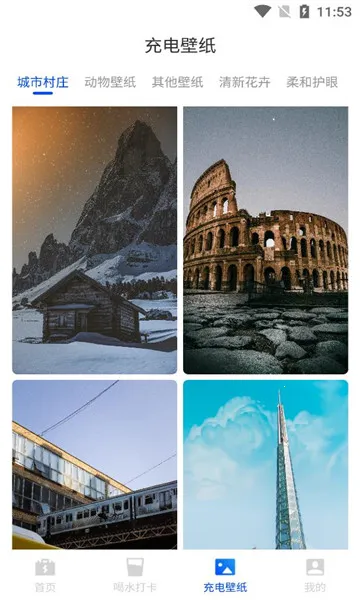 �������Ż�