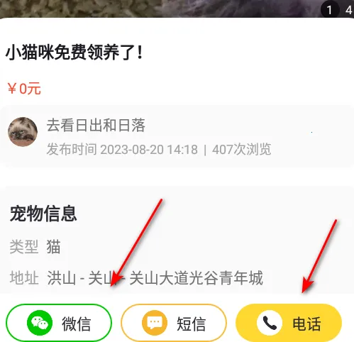 宠物领养互助 宠物领养互助