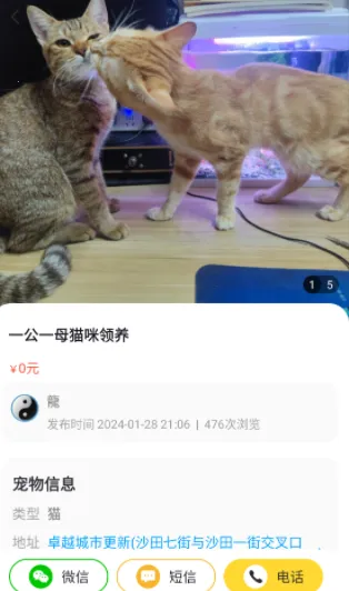 宠物领养互助 宠物领养互助