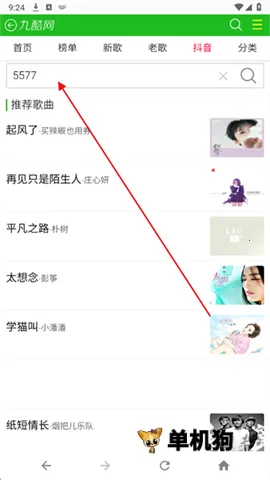 �ſ�������