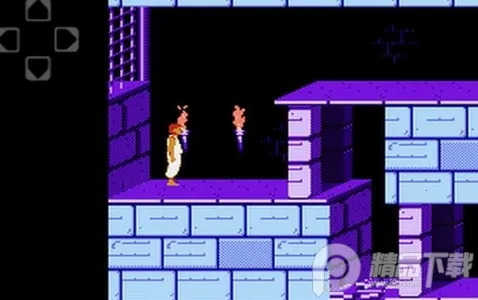 Nesoidģ����2026�ٷ�����