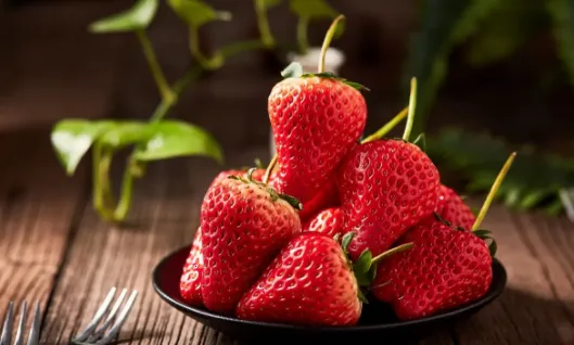 神奇口袋2026下载安装 神奇口袋2026下载安装