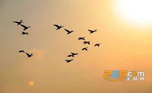 ʫ����������ֻ���