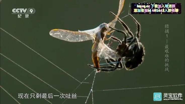 �ʺ�����ȶ������ֻ���