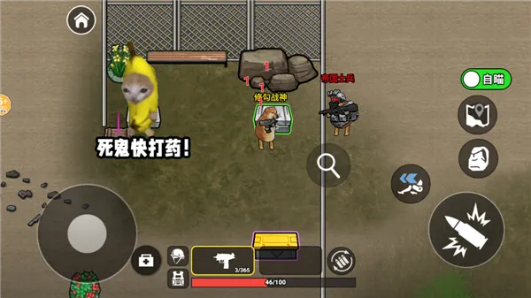 �޹�������