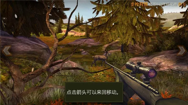 ��¹����������