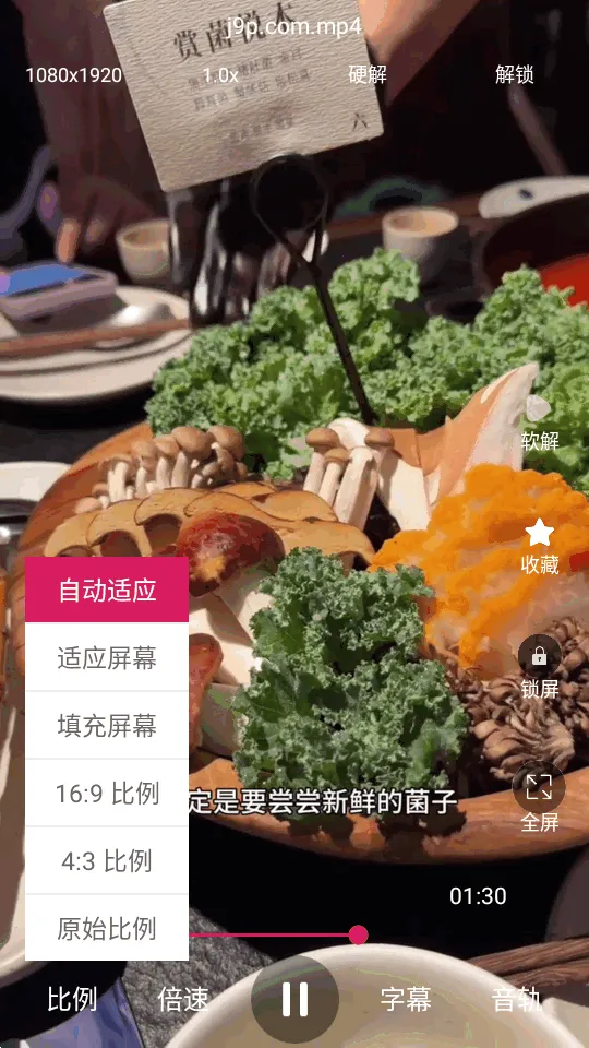 ���沥����2026���°汾v1.0.4 ��Ѱ��ͼ