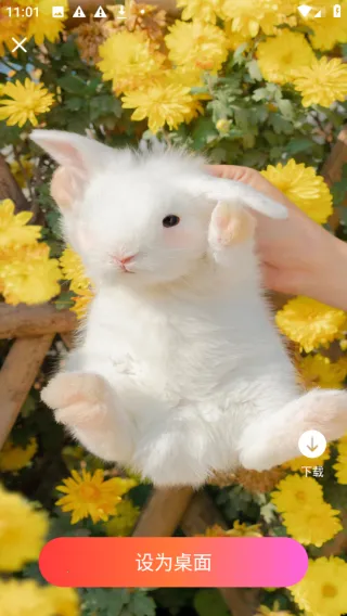 �ǻ��ֽ2026���ذ�װv1.0.0 ��׿���ͼ