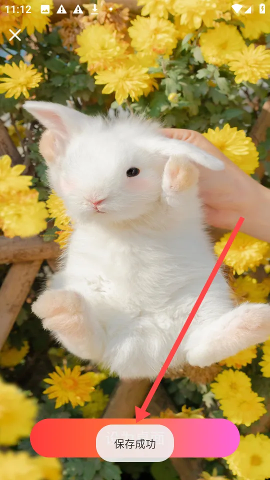 �ǻ��ֽ2026���ذ�װ