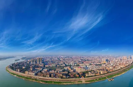 �������Ż���