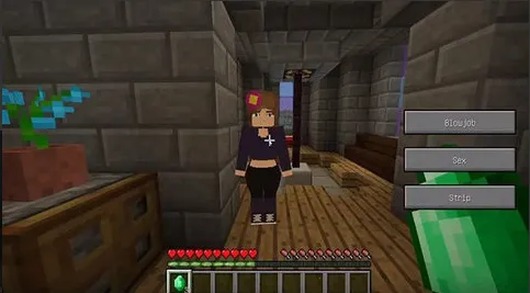 ����ģ��ֱװv1.1.6.3 ��Ѱ��ͼ